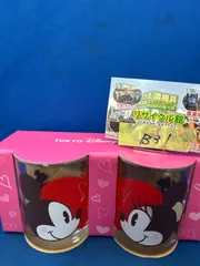 ディズニーリゾート　ペアグラス　ミッキーミニー　タンブラー　新品未使用