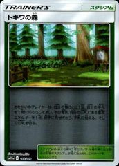 トキワの森【ミラー】【165/173】