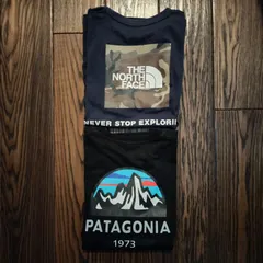 パタゴニア/ノースフェイス/Tシャツ/M/2枚セット