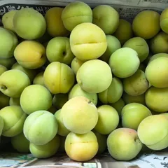 【ラスト1箱❗️値下げ対応可能❗️】箱込み10kg 青梅　M、Lサイズ中心 1-6498-03 アルミケース 395×110×345mm T3AA-C 【AXEL】 アズワン