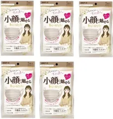 5袋セット（計25枚） 白元アースビースタイル プリーツタイプふつうサイズミルクティーベージュ