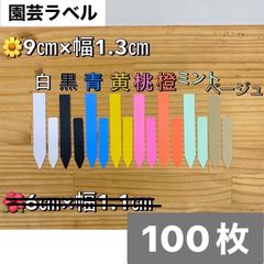 選べるカラー　100枚　9cm　園芸ラベル　多肉植物　プランター　鉢植え