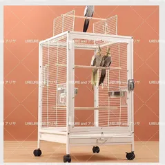 2025年最新】メジロ 鳥かごの人気アイテム - メルカリ 