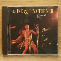 2025年最新】アイク&ティナターナーの人気アイテム - メルカリ