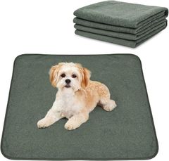 Item thumbnail for item 6f2a1fe6-c52f-403d-bfa6-b46e28f9bf4f