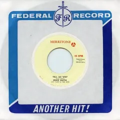 2025年最新】merritoneの人気アイテム - メルカリ