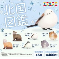 カプセル 北国図鑑 全6種セット  ガチャガチャ  シマエナガ  エゾクロテン  ナキウサギ