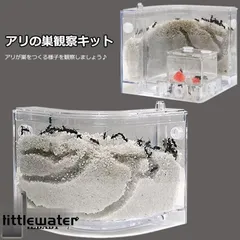 本体・ガラスセット　★送料無料★スーパービッグ　アリの巣　蟻の巣　石膏 本体・ガラスセット ☆送料無料☆スーパービッグ アリの巣 蟻の