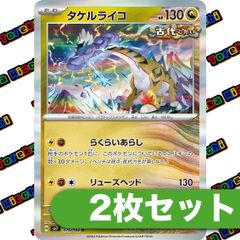 タケルライコ らくらいあらし 2枚セット