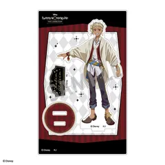 ディズニー ツイステッドワンダーランド ザ アニメーション アクリルスタンド カリム・アルアジーム ツイステ 新品 正規品 【カミオジャパン】 