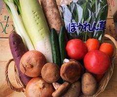 野菜セット　野菜詰め合わせ