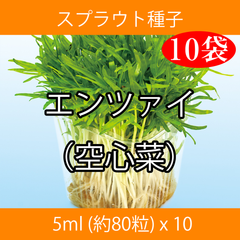 スプラウト種子 S-14 エンツァイ（空心菜） 5ml 約80粒 x 10袋