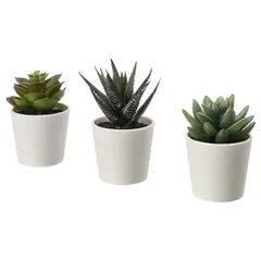 【数量限定】FEJKA/フェイカ：人工観葉植物 鉢カバー付き12 IKEA/イケア cm 3個セット Succulent（205.197.65）