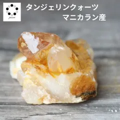 2025年最新】マニカランヒマラヤゴールデンの人気アイテム - メルカリ