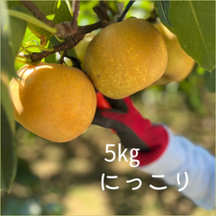 にっこり　埼玉県産　梨　約5㎏強