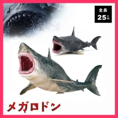 2024年最新】サメ 顎の人気アイテム - メルカリ