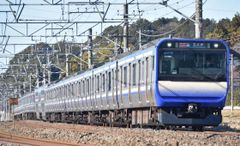 255系 房総ビューわかしお・しおさい 【グリーン車二人用座席座面