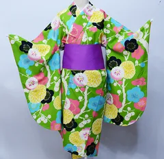 2025年最新】紅一点 着物の人気アイテム - メルカリ 