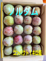 山梨県産　スモモ(ソルダム)  コンパクト1キロ箱