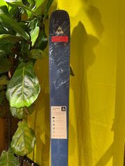 【訳アリ新品/チューンナップ付】FISCHER フィッシャー スキー板 ALPINE SKIS RANGER 84 レンジャー 181cm FREERIDE パウダー ツリーラン ディープパウダー オフピステ オンピステ バックカントリー