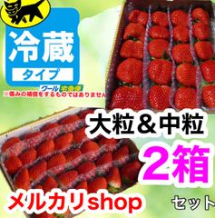 shop クール便(送料込)かんちゃん農園の大粒＆中粒いちご