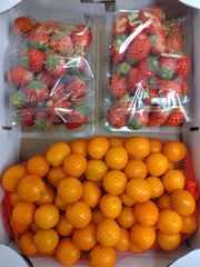 ジャム用小粒苺2パック、加工用きんかん１㎏