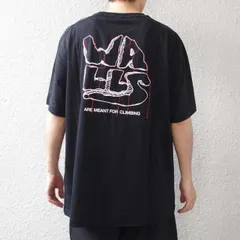 ノースフェイス Tシャツ 半袖 メンズ レディース THE NORTH FACE M S/S OUTDOOR TEE EUライン nf0a880s