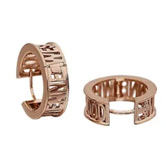 Vivienne Westwood ピアス WESTMINSTER 62030046/G002