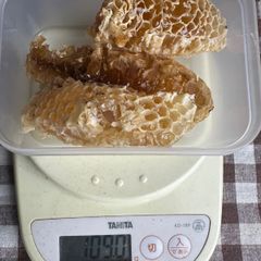 あかしあ巣蜜109g  巣みつ　ハチミツ　西洋ミツバチ　コムハニー
