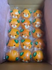 中島まどんな　秀品〜特秀品  5Kg.  みきゃんラッピング個包装