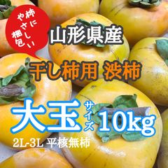 山形県産 干し柿用 渋柿 大玉 10kg 加工用 柿 果樹 種なし