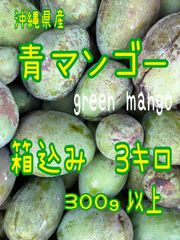 沖縄産　摘果マンゴー　10キロ 摘果マンゴー沖縄県産 青マンゴー Green mango 20g〜40g 箱込み
