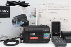 2024年最新】ソニー sony ビデオカメラ handycam 光学30倍 内蔵