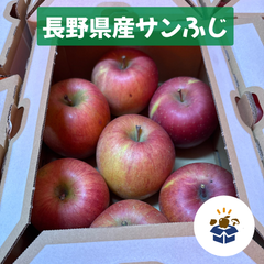 【長野県産】サンふじ 2.5kg