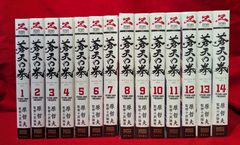 徳間書店 ゼノンコミックスDX 原哲夫 蒼天の拳 全14巻 セット