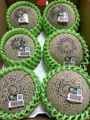 アンデスメロン Lサイズ6個 箱込4.5キロ程度 茨城県産