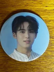 SEVENTEEN(セブンティーン・セブチ) ミンギュ(MINGYU) マグネット FOLLOW TO SEOUL BE THE SUN コンサート ラッキードロー ラキドロ ドロー 公式 オフィシャル グッズ