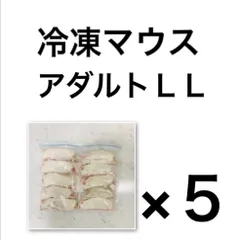 【訳あり】冷凍ラット 35〜50ｇ SSサイズ 40匹セット 2025年最新】冷凍ラットの商品一覧｜爬虫類・猛禽類に適したエサ