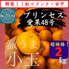 2024年最新】愛果48号の人気アイテム - メルカリ