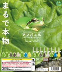 いきもん NATURE TECHNI COLOUR MONO PLUSアマガエル マグネット＆ボールチェーン