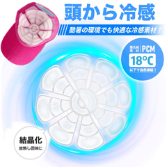 頭ひんやりクール PCM ヘッドクール ヘッドパッド 子供 大人 キッズ ネッククーラー 帽子 保冷剤 頭 冷却 熱中症対策 暑さ対策 接触冷感 プレゼント めちゃクール 頭皮 ひんやり アイスクール ヘッドパット ヘッドクールパッド 帽子用冷却シート