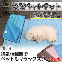 Item thumbnail for item 50959e0c-4f91-41c4-b24d-057f3d58fd72