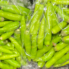 【選果落ち 訳あり商品】熊本県産 国産 生 青唐辛子 約500g 箱込み【003】枝あり 枝なし混合 野菜 サイズ不揃いトウガラシ とうがらし 品種おまかせ