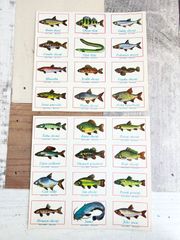 123・【一点限り】マッチラベルシート　魚類　24柄　1968年頃　　レア　アンティーク　ラベルシート 切手趣味週間　コレクション