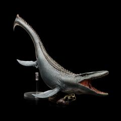 PNSO 成長シリーズ 43 ヘリコプリオン 魚類 動物 フィギュア