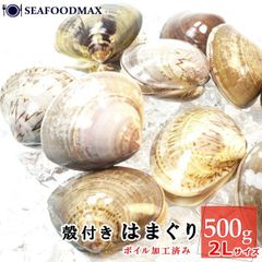はまぐり 殻付 はまぐり 2Ｌサイズ 500g 約8～10個入 ボイル加工済み 冷凍品　蛤