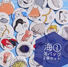 24種類から選べる 海の生物① 缶バッジ 2個セット - メルカリ