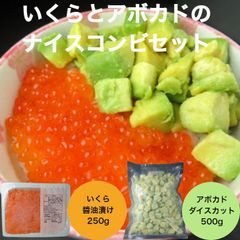 【送料無料】いくらとアボカドのナイスコンビセット いくら醬油漬け250g アボカドダイスカット500g