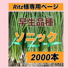 Ritz様専用ページ