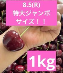 ミーナファーム　プレミアムチェリー　1kg アメリカンチェリー　さくらんぼ